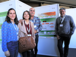 En Probena somos líderes en soluciones para producciones ganaderas sanas y sostenibles. Ofrecemos productos de origen natural que mejoran el estado sanitario e inmunitario de los animales.